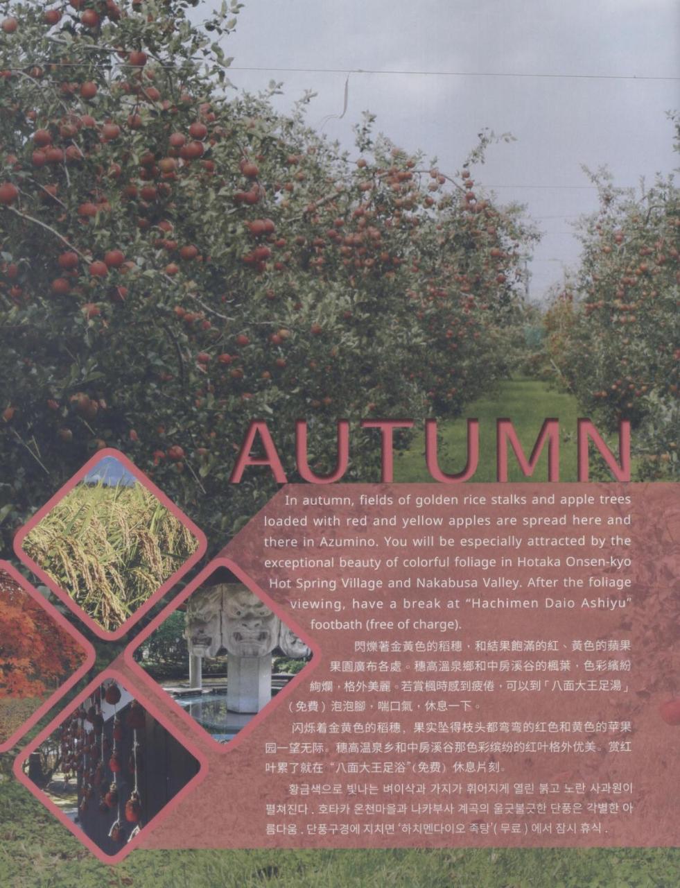 Shino'S Farm Inn Azumino Exterior photo